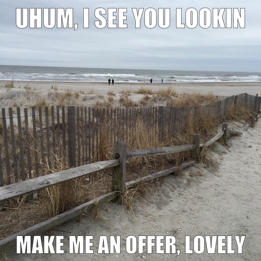 Make a reasonable offer, beautiful...